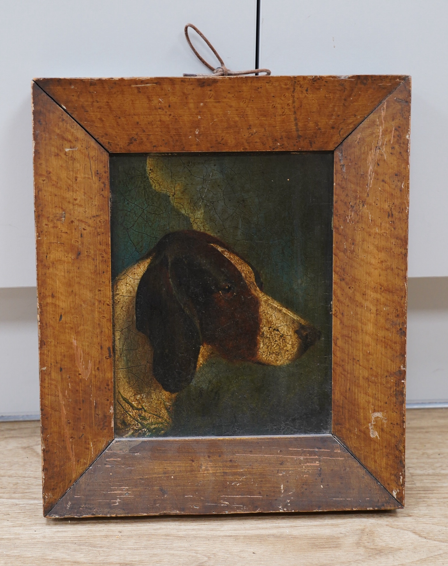 19th century, naive English School, oil on board, Study of a dog, possibly an English Pointer, 22 x 17cm. Condition - poor